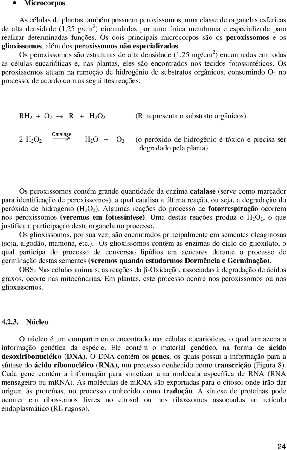 Os peroxissomos são estruturas de alta densidade (1,25 mg/cm 2 ) encontradas em todas as células eucarióticas e, nas plantas, eles são encontrados nos tecidos fotossintéticos.