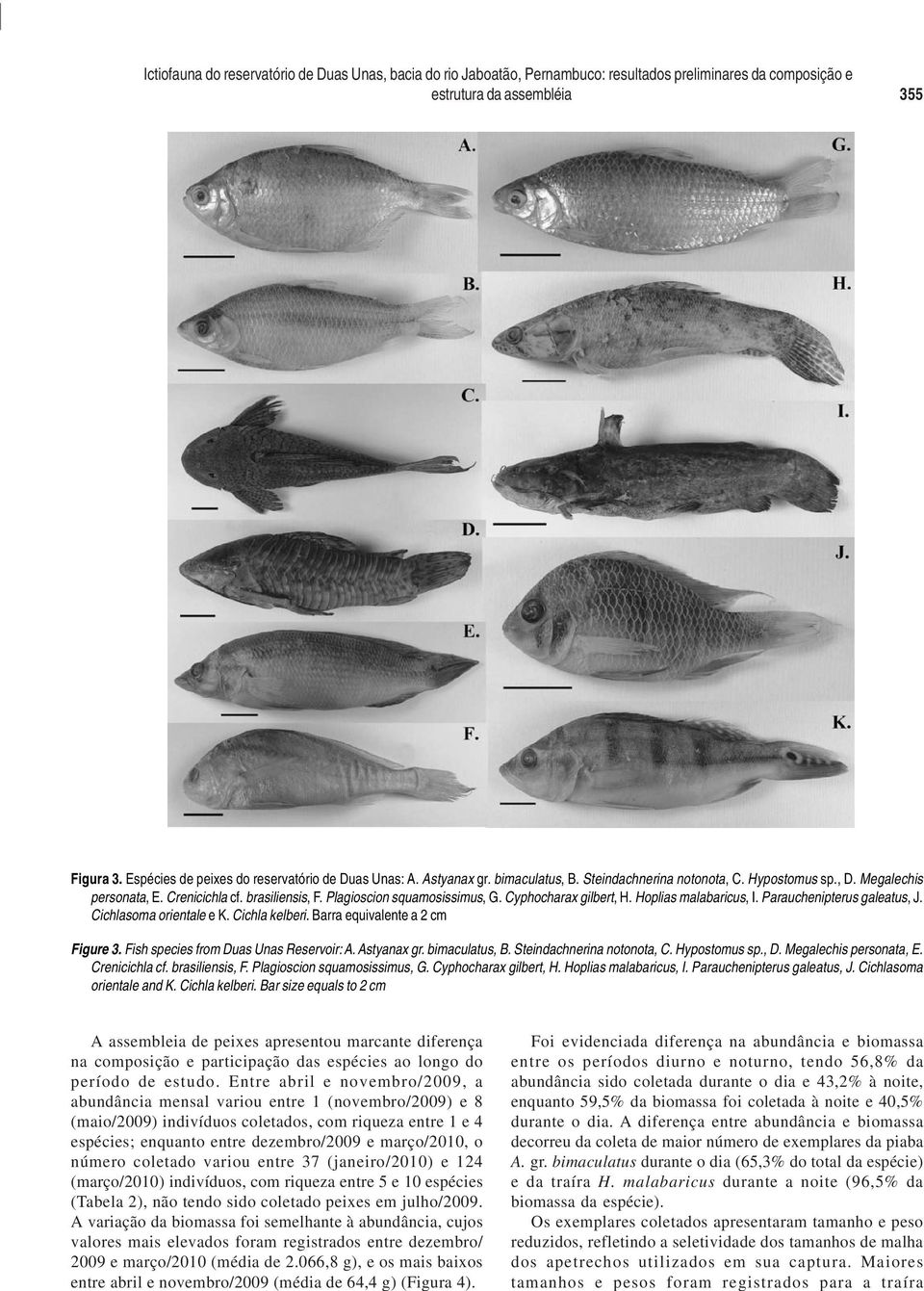 número coletado variou entre 37 (janeiro/2010) e 124 (março/2010) indivíduos, com riqueza entre 5 e 10 espécies (Tabela 2), não tendo sido coletado peixes em julho/2009.