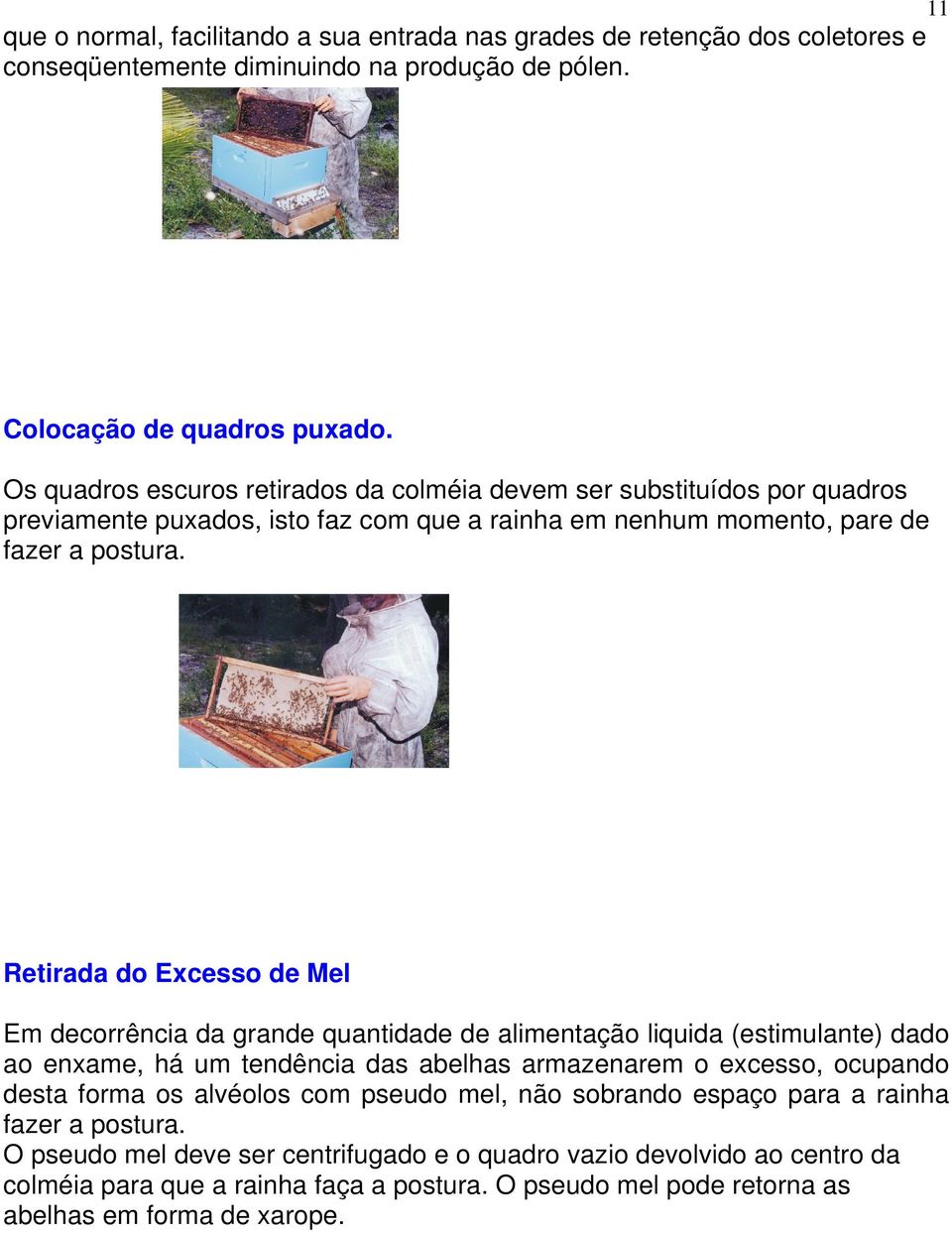 Retirada do Excesso de Mel Em decorrência da grande quantidade de alimentação liquida (estimulante) dado ao enxame, há um tendência das abelhas armazenarem o excesso, ocupando desta forma os