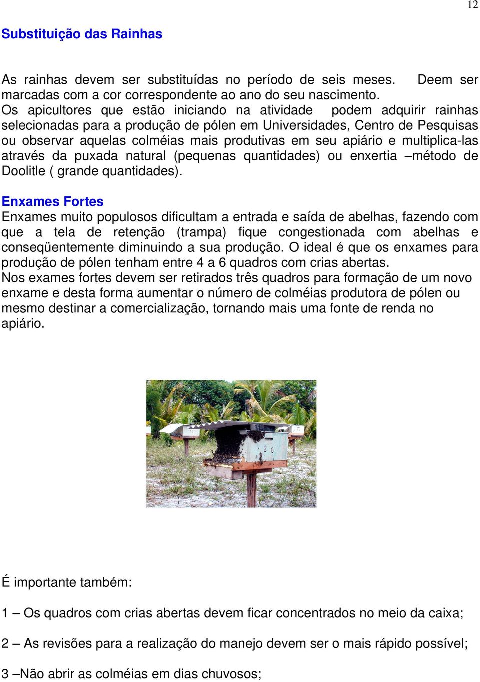 apiário e multiplica-las através da puxada natural (pequenas quantidades) ou enxertia método de Doolitle ( grande quantidades).