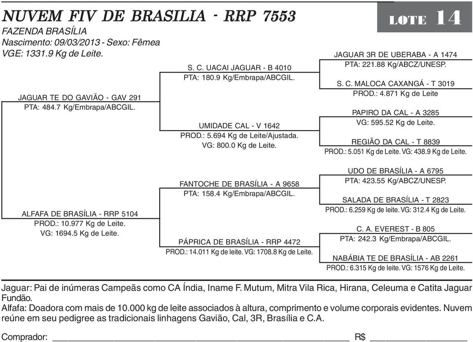 C. MALOCA CAXANGÁ - T 3019 PROD.: 4.871 Kg de Leite PAPIRO DA CAL - A 3285 VG: 595.52 Kg de Leite. REGIÃO DA CAL - T 8839 PROD.: 5.051 Kg de Leite. VG: 438.9 Kg de Leite.