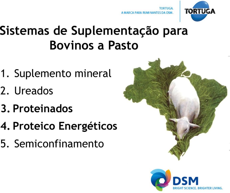 Suplemento mineral 2. Ureados 3.