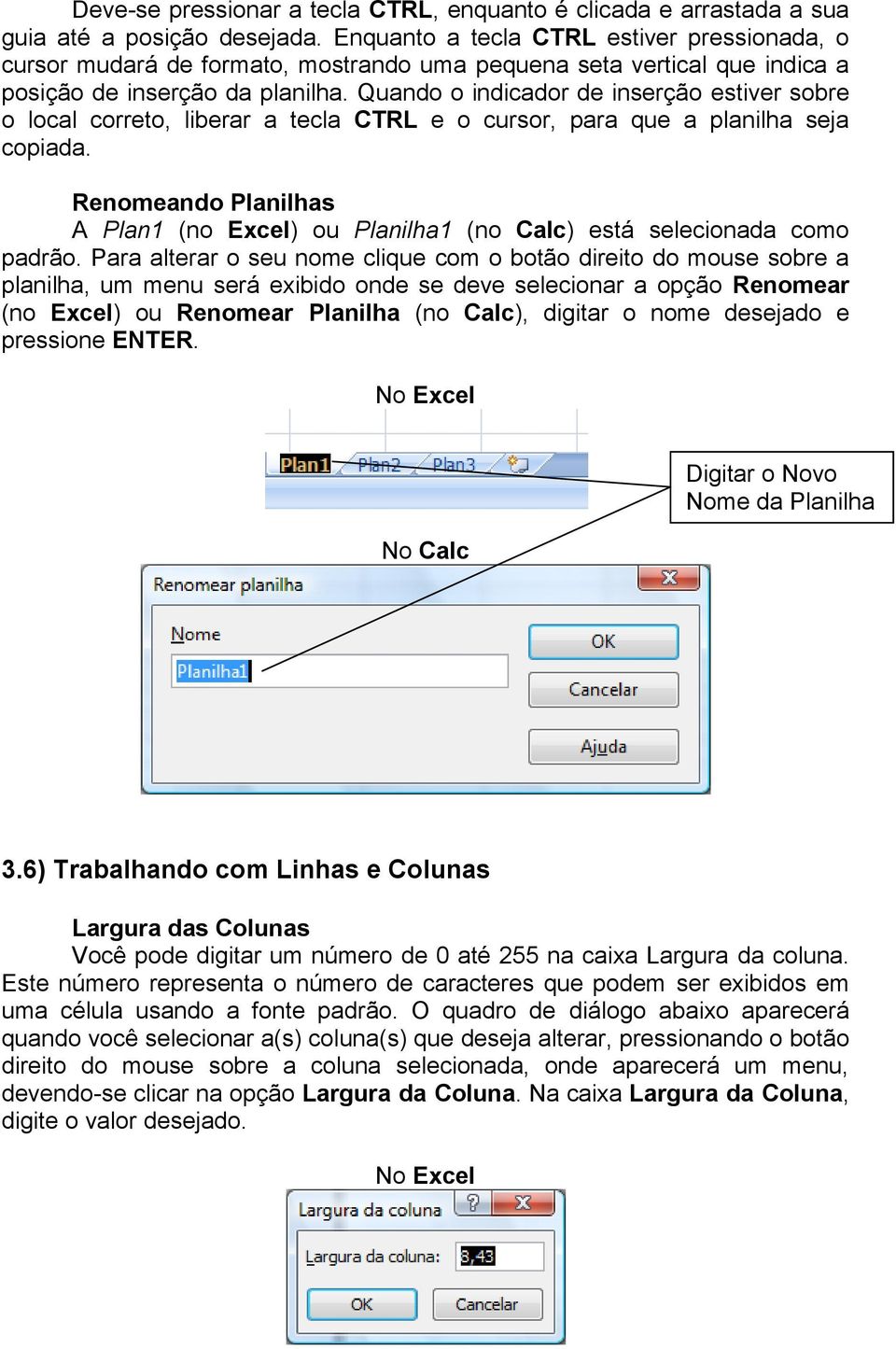 Quando o indicador de inserção estiver sobre o local correto, liberar a tecla CTRL e o cursor, para que a planilha seja copiada.