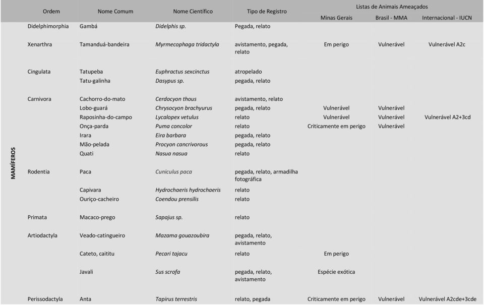 Vulnerável A2c Cingulata Tatupeba Euphractus sexcinctus atropelado Tatu-galinha Dasypus sp.