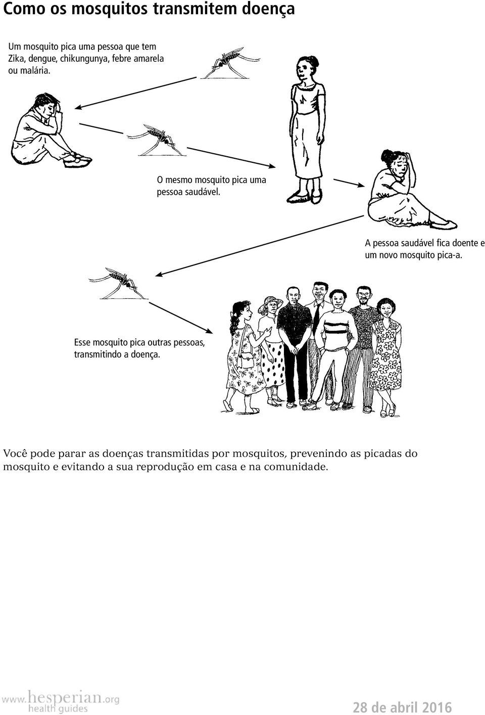 A pessoa saudável fica doente e um novo mosquito pica-a.