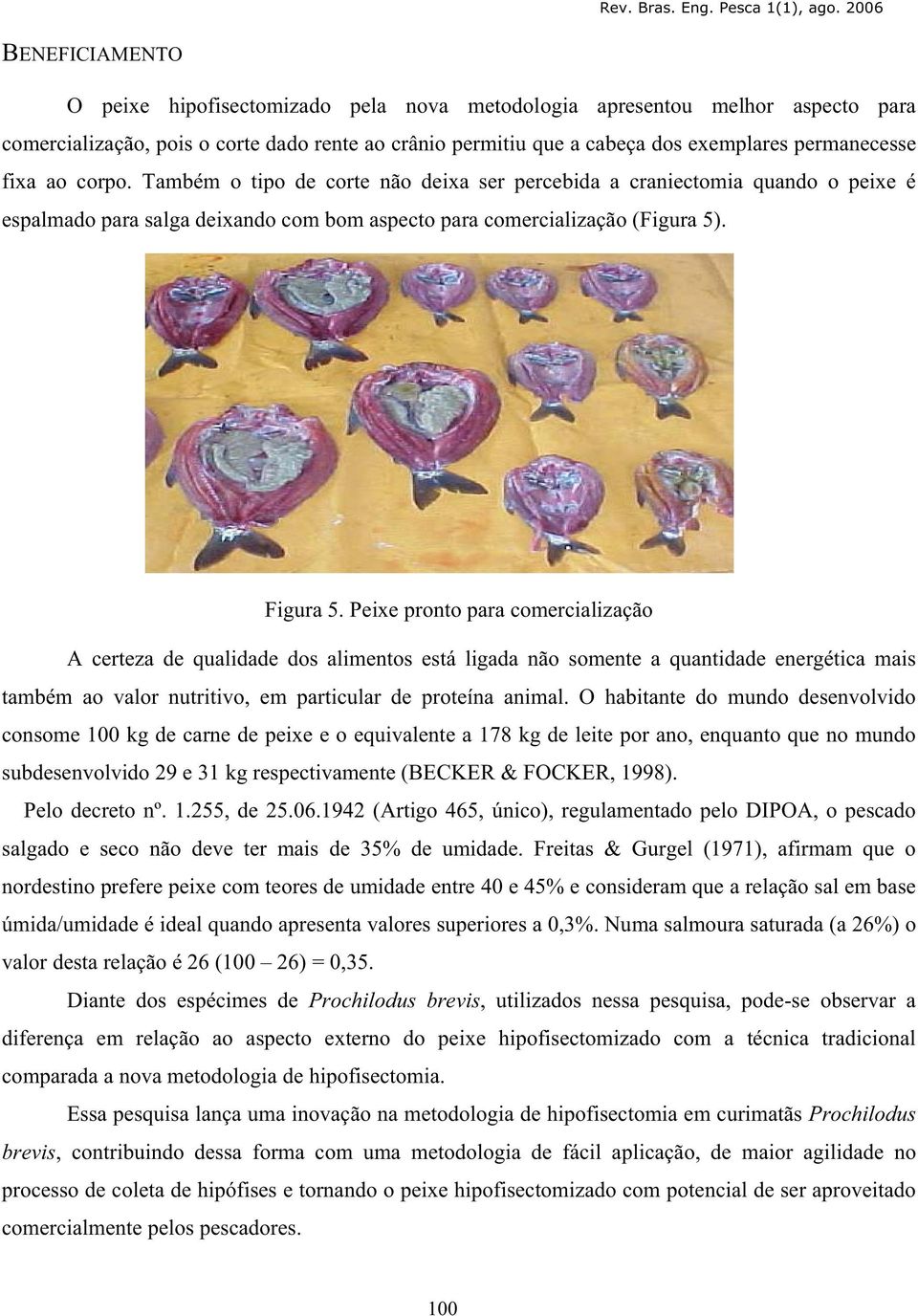 Peixe pronto para comercialização A certeza de qualidade dos alimentos está ligada não somente a quantidade energética mais também ao valor nutritivo, em particular de proteína animal.