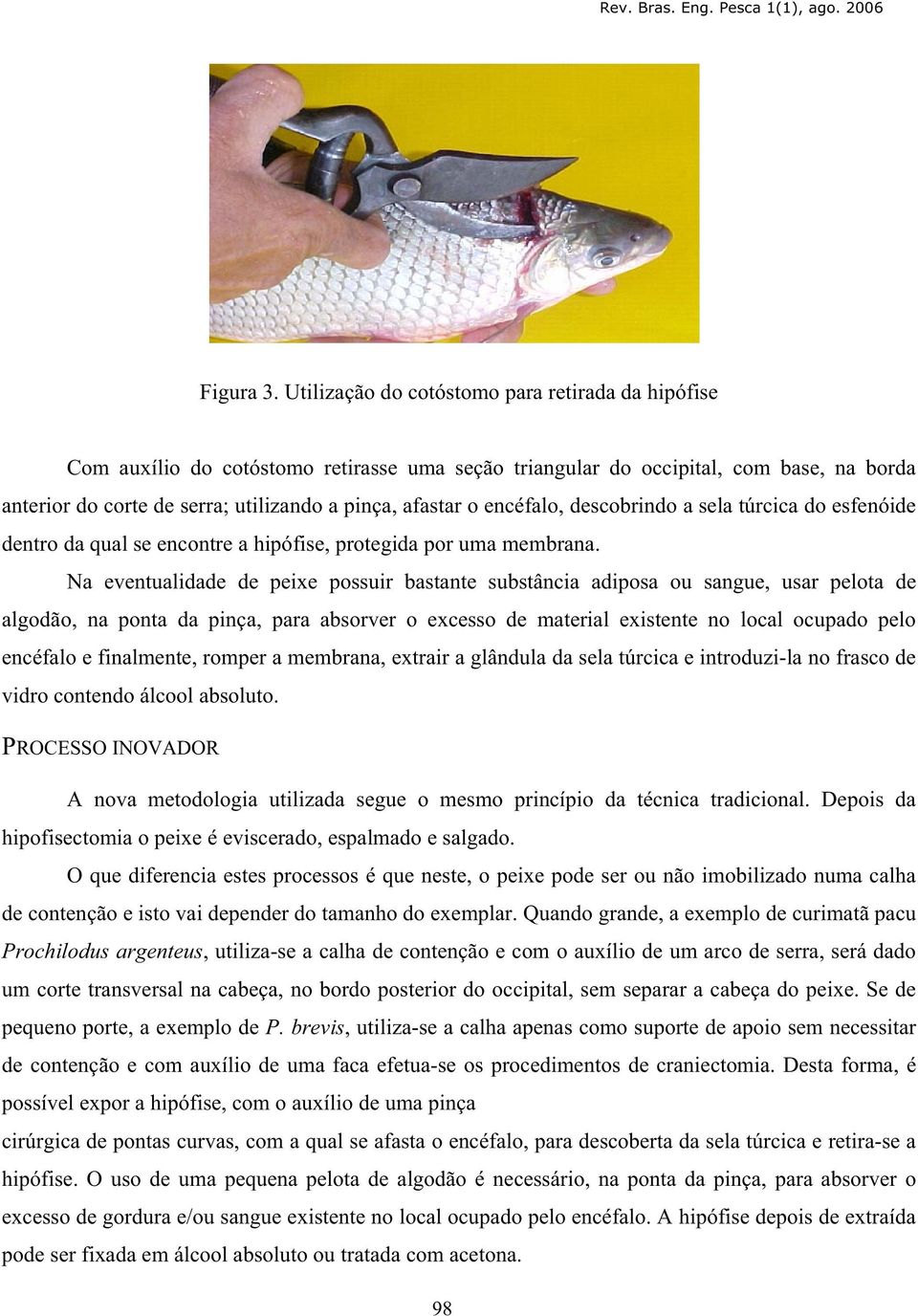 encéfalo, descobrindo a sela túrcica do esfenóide dentro da qual se encontre a hipófise, protegida por uma membrana.