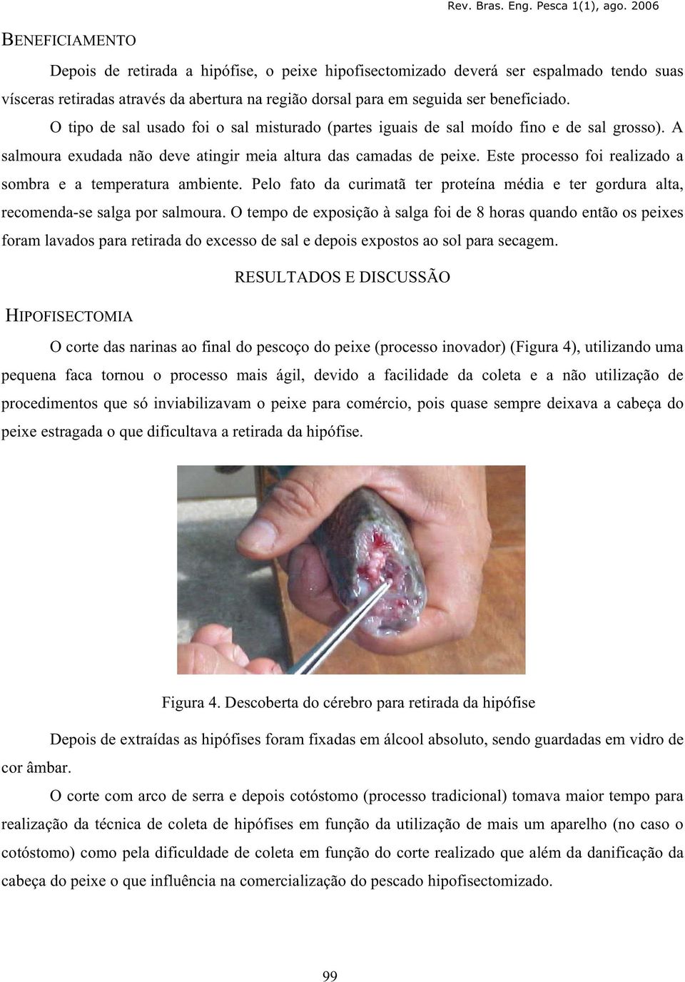 Este processo foi realizado a sombra e a temperatura ambiente. Pelo fato da curimatã ter proteína média e ter gordura alta, recomenda-se salga por salmoura.