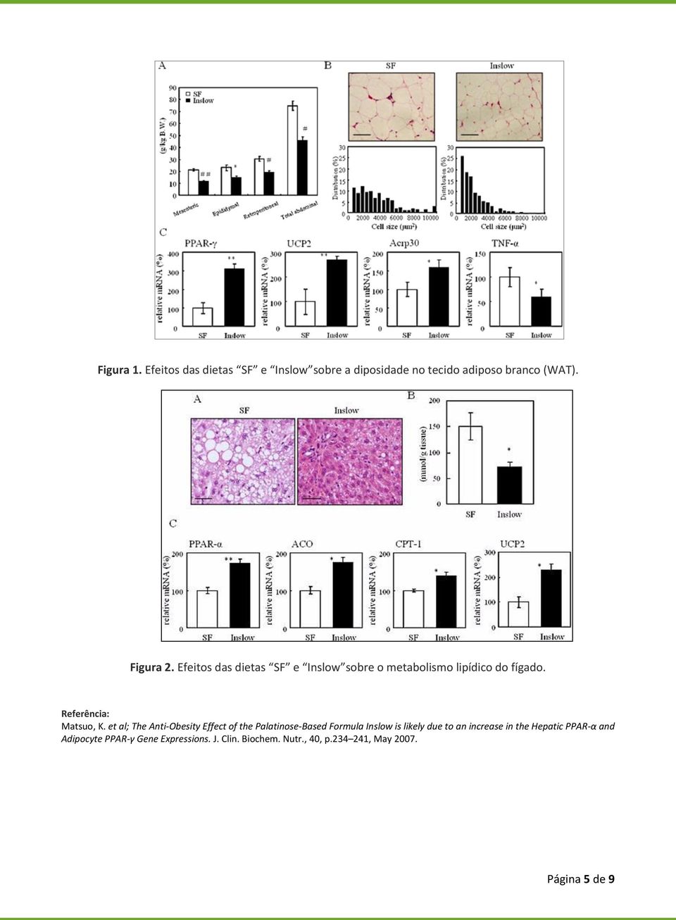 et al; The Anti-Obesity Effect of the Palatinose-Based Formula Inslow is likely due to an increase in