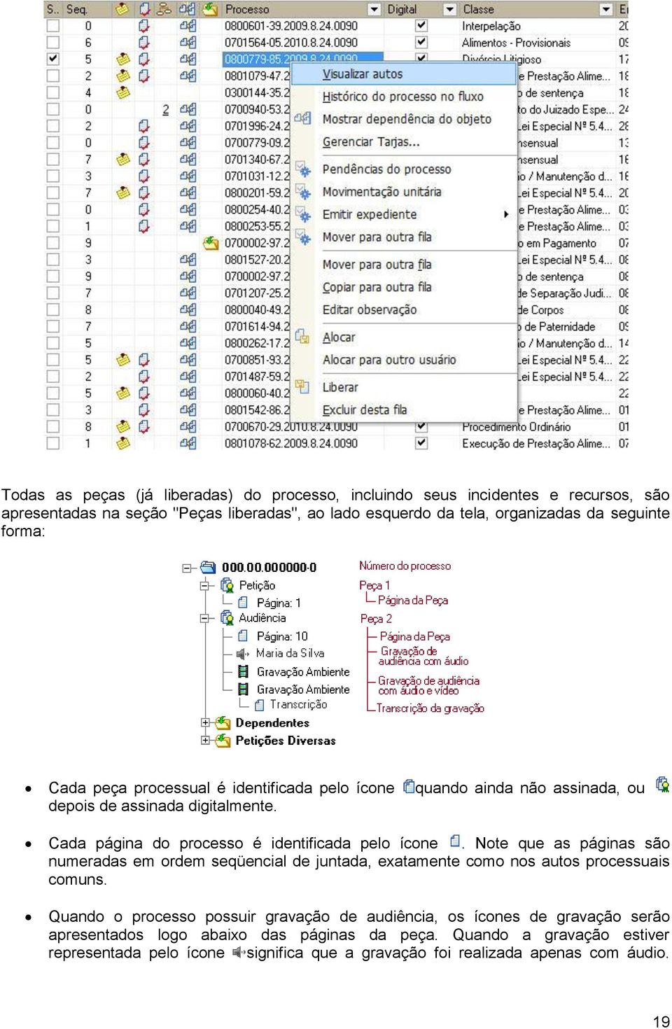 Cada página do processo é identificada pelo ícone. Note que as páginas são numeradas em ordem seqüencial de juntada, exatamente como nos autos processuais comuns.