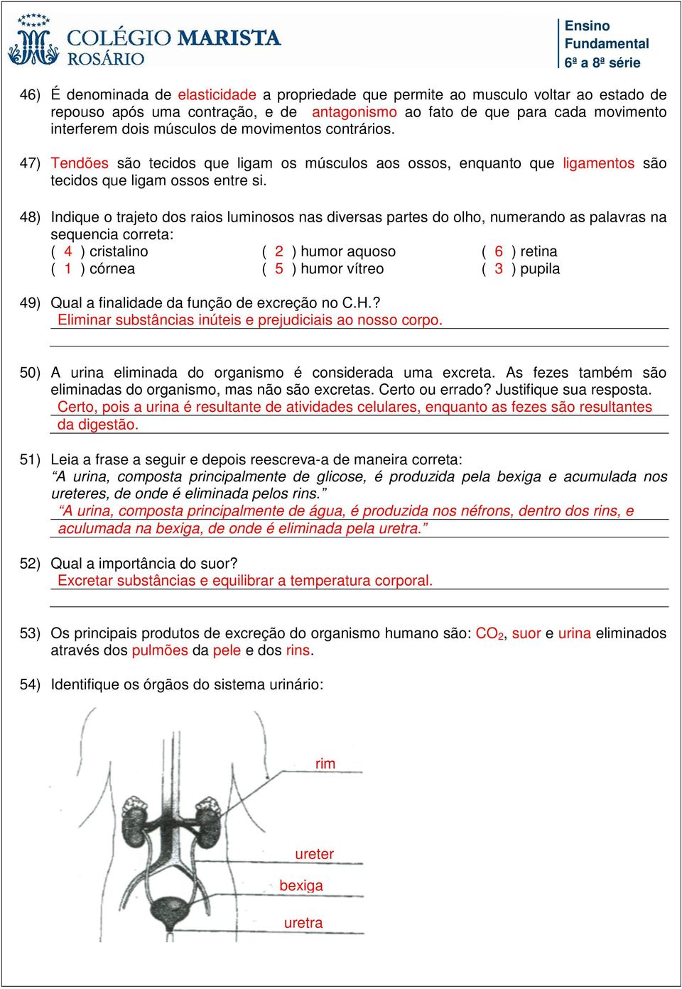 48) Indique o trajeto dos raios luminosos nas diversas partes do olho, numerando as palavras na sequencia correta: ( 4 ) cristalino ( 2 ) humor aquoso ( 6 ) retina ( 1 ) córnea ( 5 ) humor vítreo ( 3