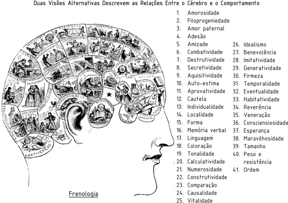 Coloração 19. Tonalidade 20. Calculatividade 21. Numerosidade 22. Construtividade 23. Comparação 24. Causalidade 25. Vitalidade 26. Idealismo 27. Benevolência 28. Imitatividade 29.