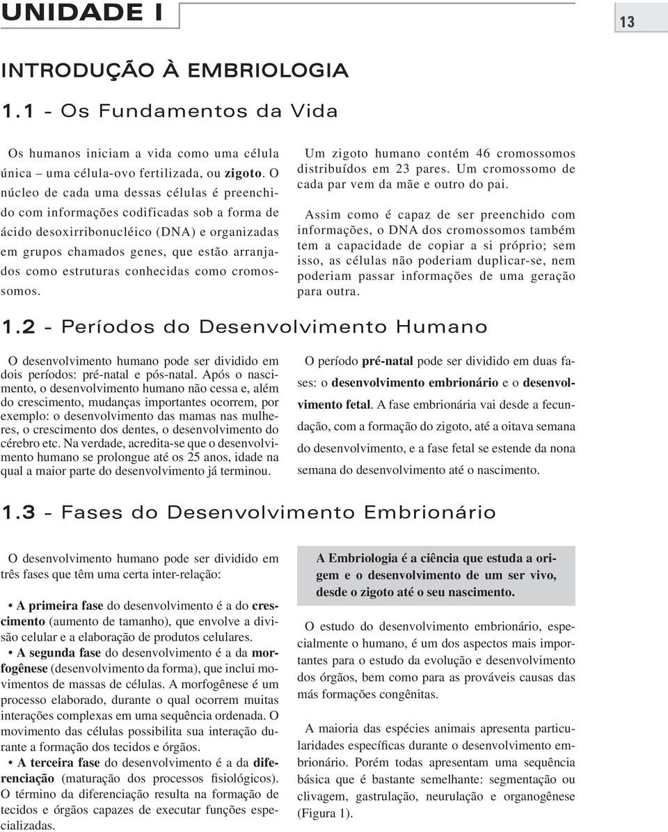 estruturas conhecidas como cromossomos. Um zigoto humano contém 46 cromossomos distribuídos em 23 pares. Um cromossomo de cada par vem da mãe e outro do pai.