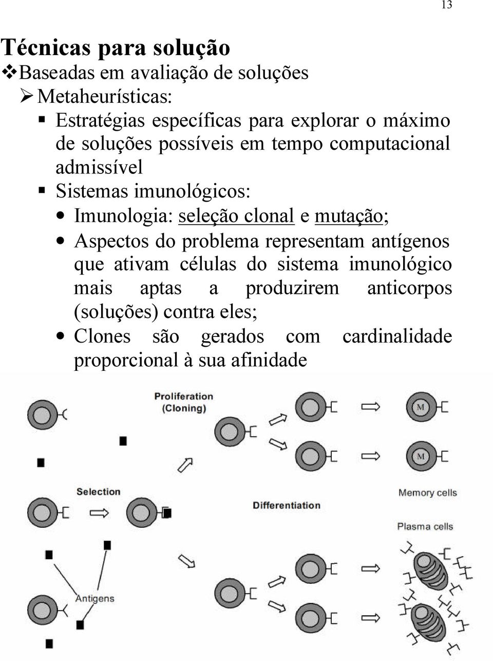 clonal e mutação; Aspectos do problema representam antígenos que ativam células do sistema imunológico mais