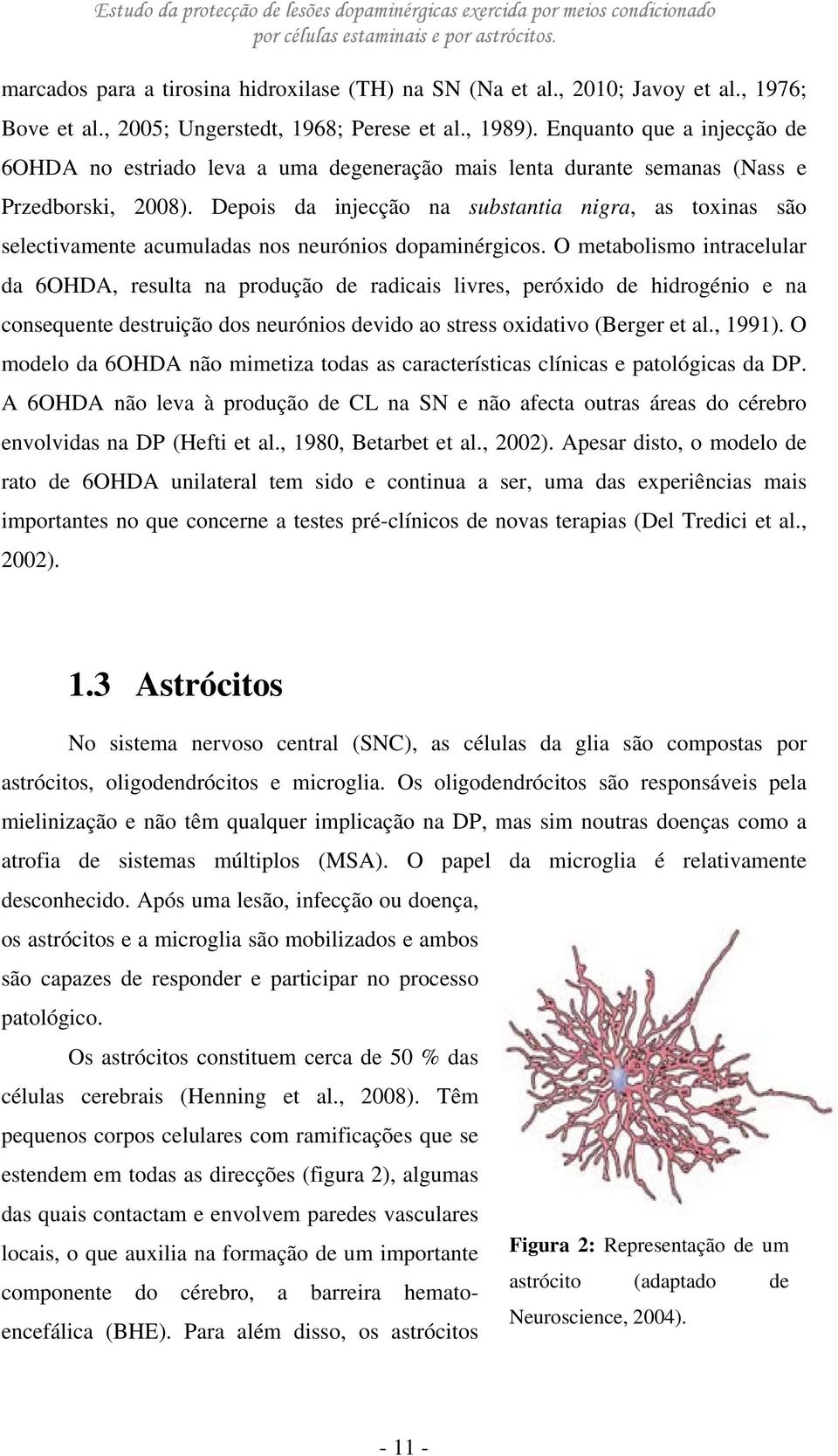 Depois da injecção na substantia nigra, as toxinas são selectivamente acumuladas nos neurónios dopaminérgicos.