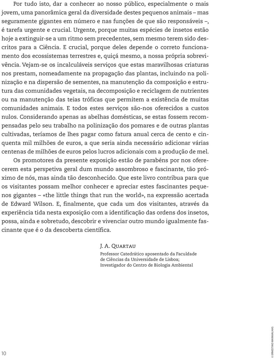 E crucial, porque deles depende o correto funcionamento dos ecossistemas terrestres e, quiçá mesmo, a nossa própria sobrevivência.