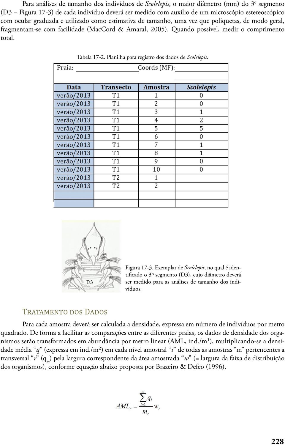 Tabela 17-2. Planilha para registro dos dados de Scolelepis. Figura 17-3.