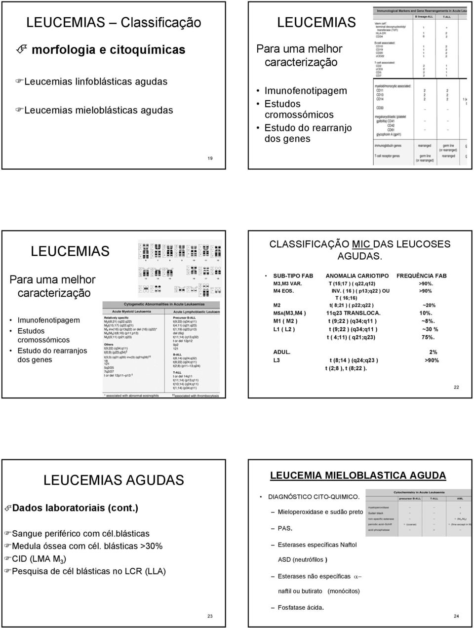 SUB-TIPO FAB ANOMALIA CARIOTIPO FREQUÊNCIA FAB M3,M3 VAR. T (15;17 ) ( q22,q12) >90%. M4 EOS. INV. ( 16 ) ( p13;q22 ) OU >90% T ( 16;16) M2 t( 8;21 ) ( p22;q22 ) ~20% M5A(M3,M4 ) 11q23 TRANSLOCA. 10%.