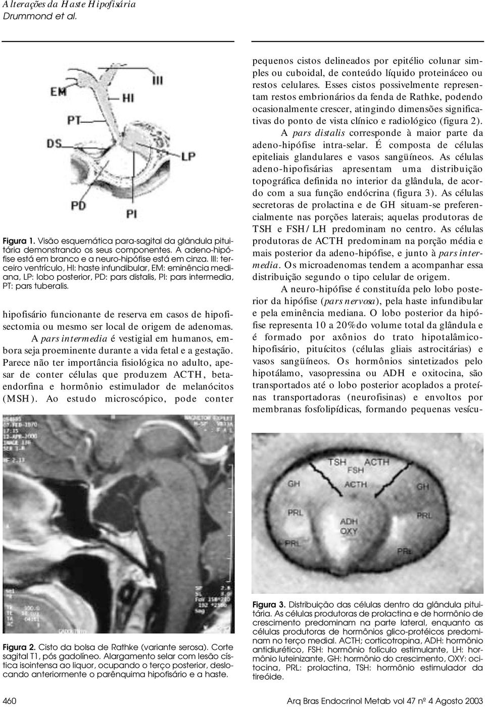 hipofisário funcionante de reserva em casos de hipofisectomia ou mesmo ser local de origem de adenomas.