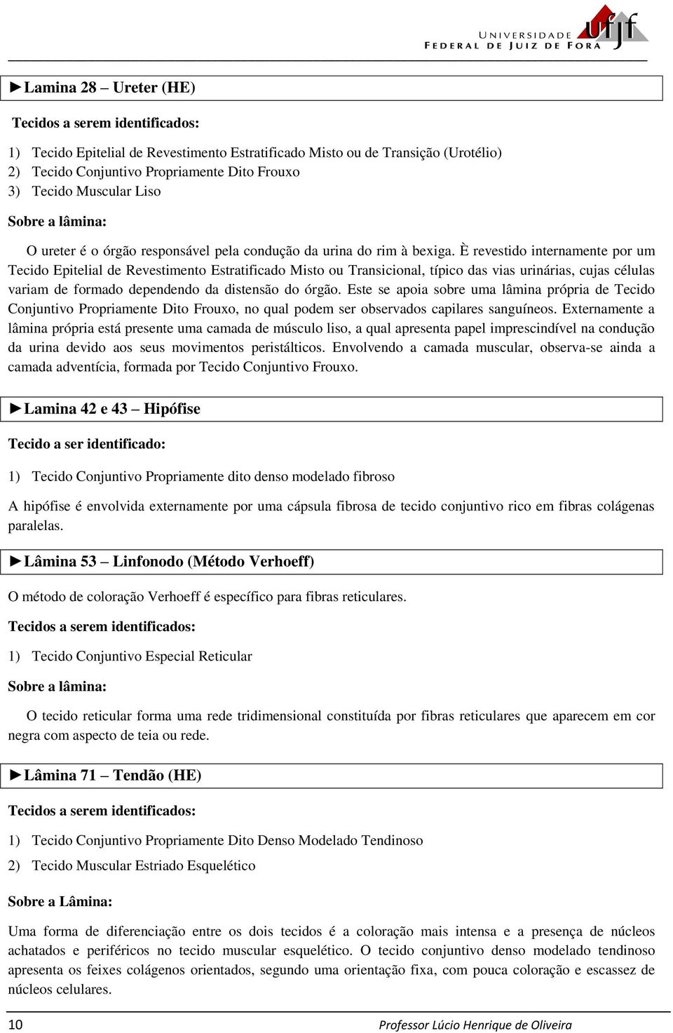 Este se apoia sobre uma lâmina própria de Tecido Conjuntivo Propriamente Dito Frouxo, no qual podem ser observados capilares sanguíneos.