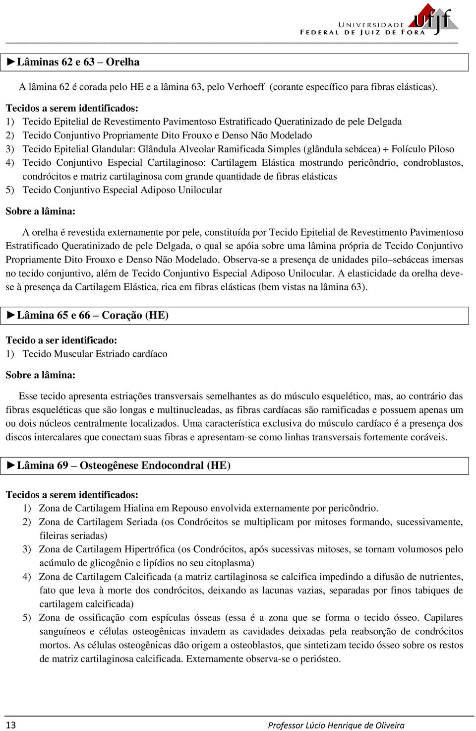 + Folículo Piloso 4) Tecido Conjuntivo Especial Cartilaginoso: Cartilagem Elástica mostrando pericôndrio, condroblastos, condrócitos e matriz cartilaginosa com grande quantidade de fibras elásticas