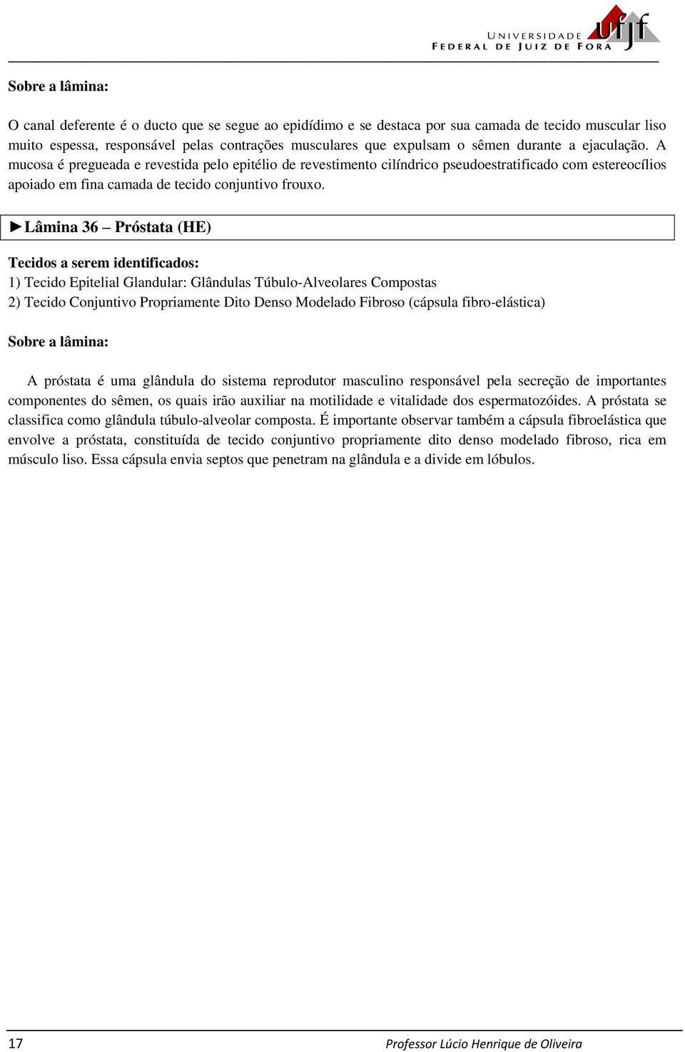 Lâmina 36 Próstata (HE) 1) Tecido Epitelial Glandular: Glândulas Túbulo-Alveolares Compostas 2) Tecido Conjuntivo Propriamente Dito Denso Modelado Fibroso (cápsula fibro-elástica) A próstata é uma