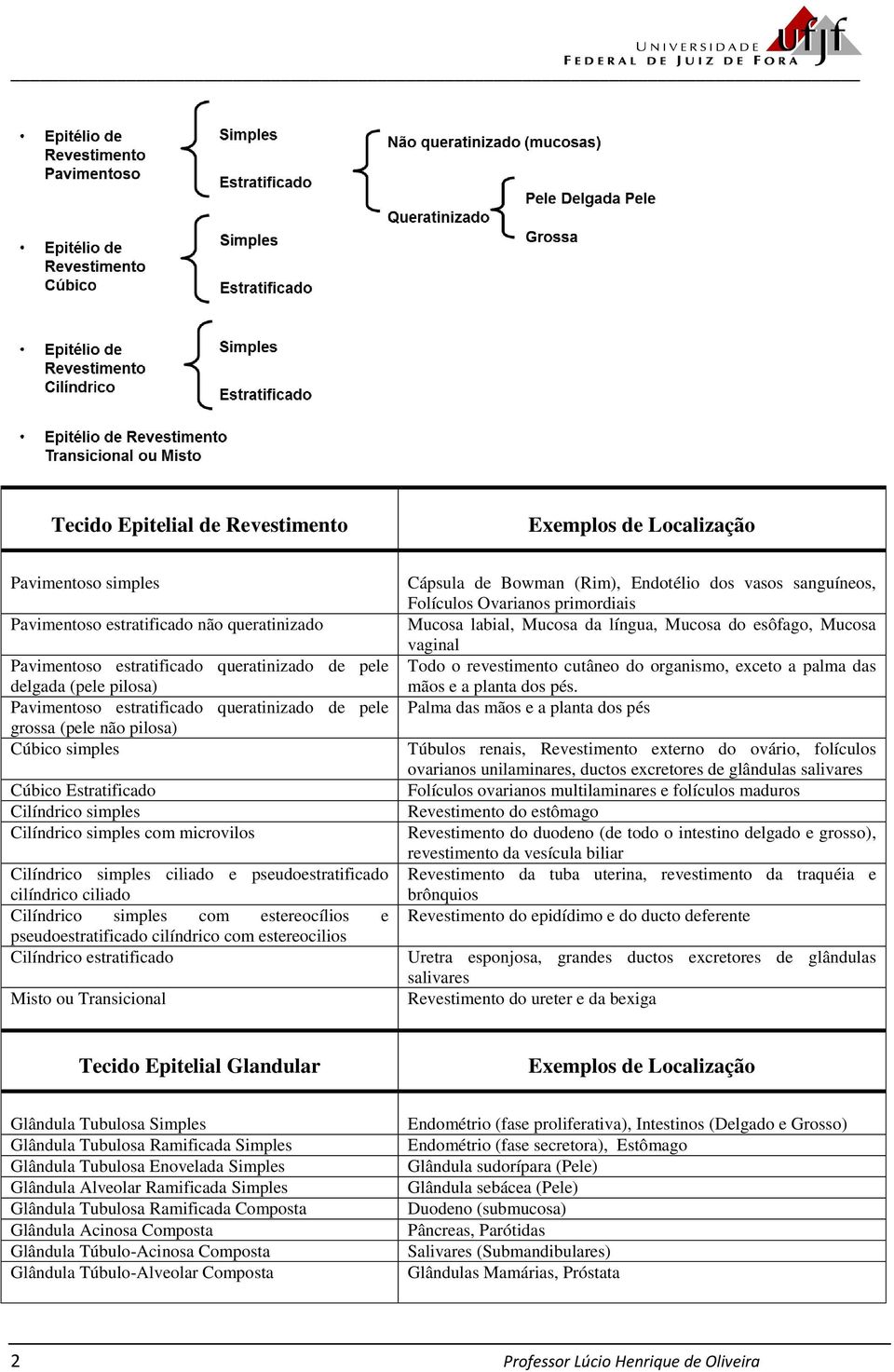 pseudoestratificado cilíndrico ciliado Cilíndrico simples com estereocílios e pseudoestratificado cilíndrico com estereocilios Cilíndrico estratificado Misto ou Transicional Cápsula de Bowman (Rim),