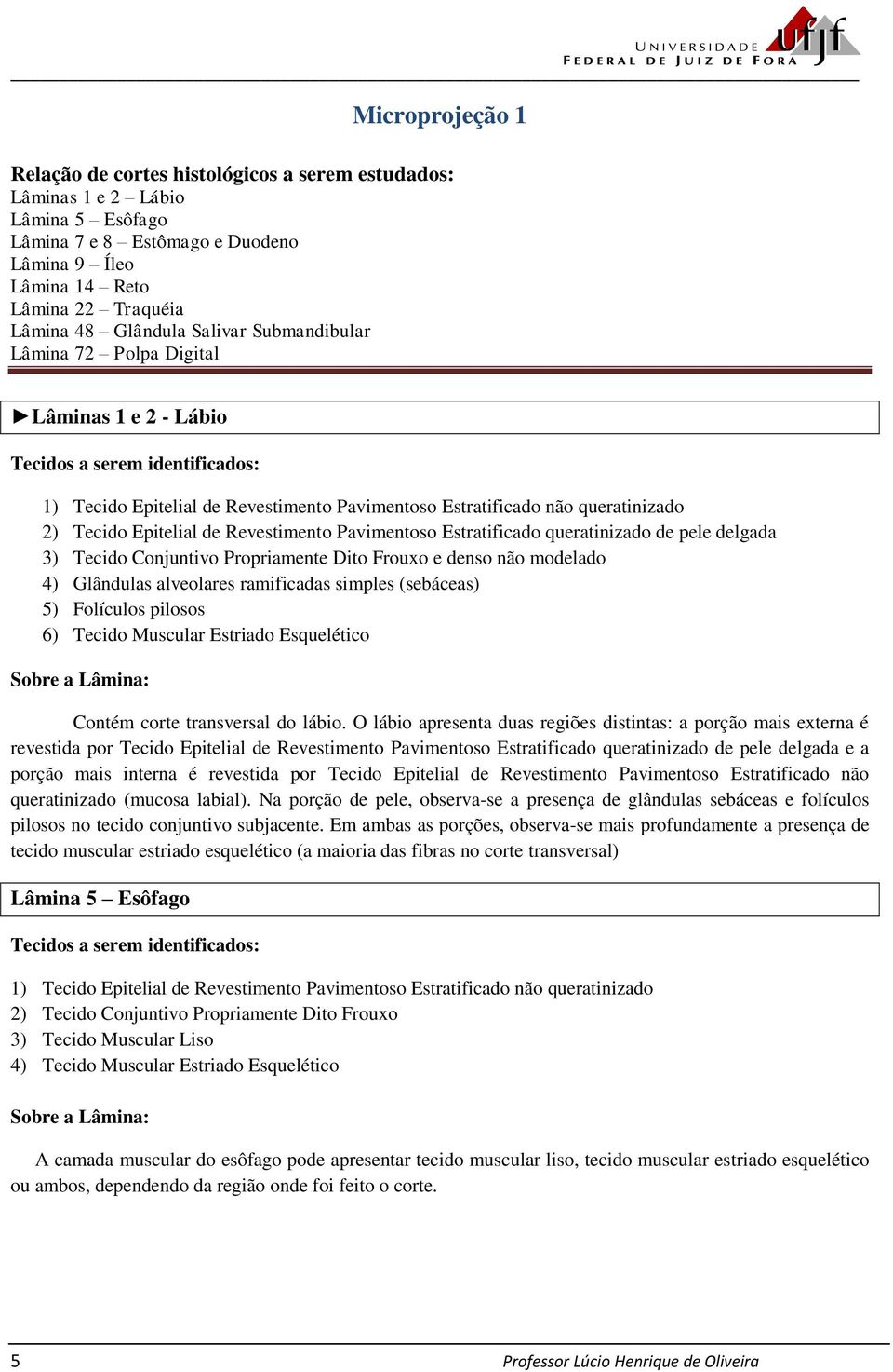 Pavimentoso Estratificado queratinizado de pele delgada 3) Tecido Conjuntivo Propriamente Dito Frouxo e denso não modelado 4) Glândulas alveolares ramificadas simples (sebáceas) 5) Folículos pilosos