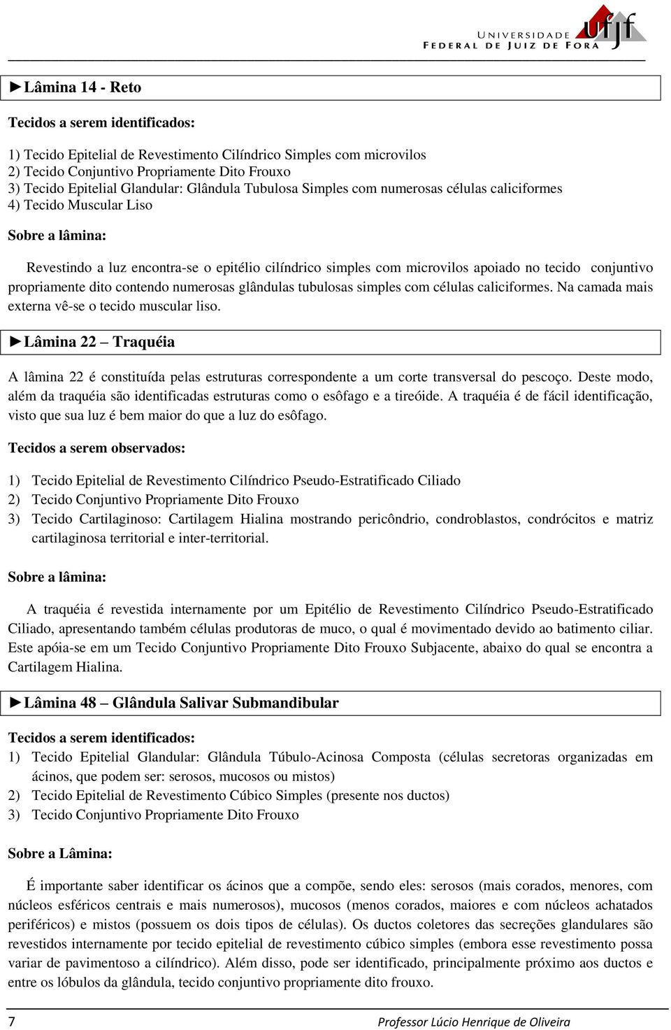 Na camada mais externa vê-se o tecido muscular liso. Lâmina 22 Traquéia A lâmina 22 é constituída pelas estruturas correspondente a um corte transversal do pescoço.