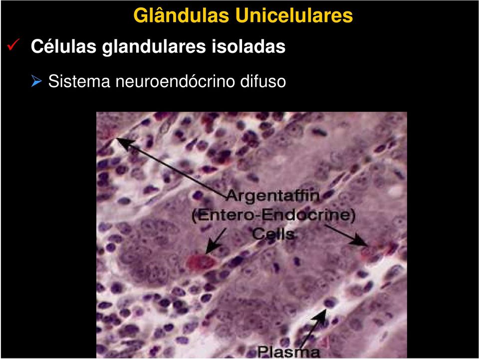 glandulares isoladas