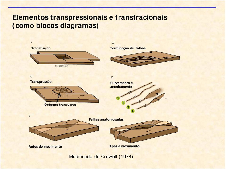 transtracionais (como