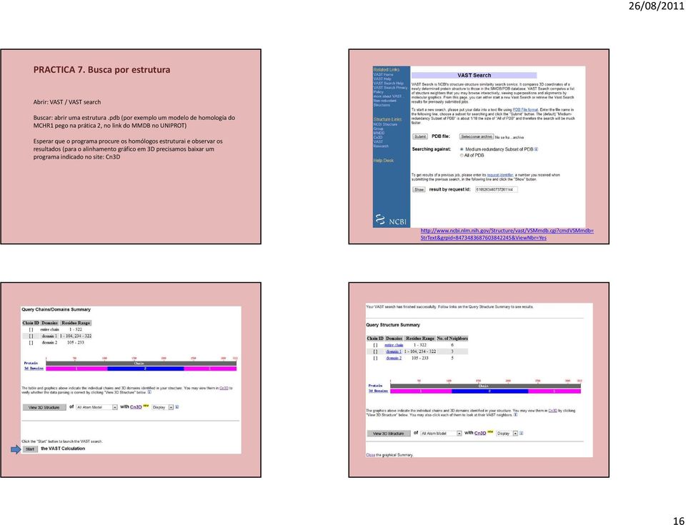 programa procure os homólogos estruturai e observar os resultados (para o alinhamento gráfico em 3D precisamos