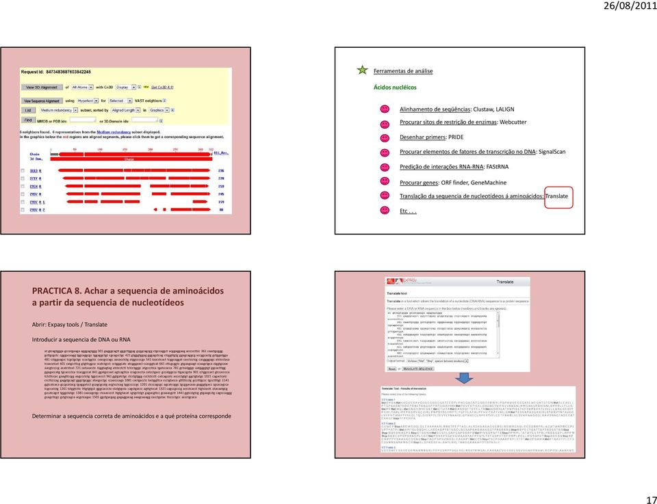 Achar a sequencia de aminoácidos a partir da sequencia de nucleotídeos Abrir: Expasy tools / Translate Introducir a sequencia de DNA ou RNA at gtcagtggga gccatgaaga agggagtggg 301 gagggcagtt