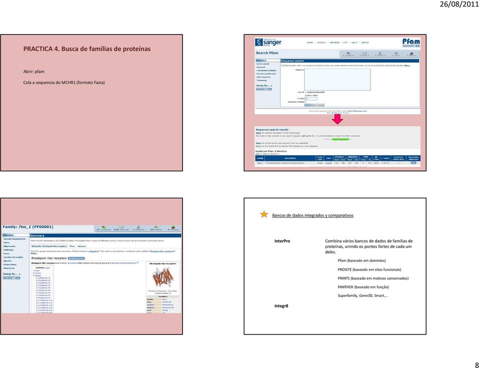 integrados y comparativos InterPro Combina vários bancos de dados de famílias de proteínas, unindo os