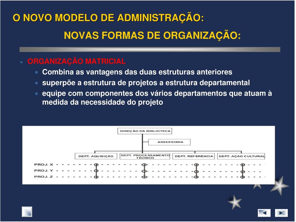 anteriores superpõe a estrutura de projetos a estrutura departamental