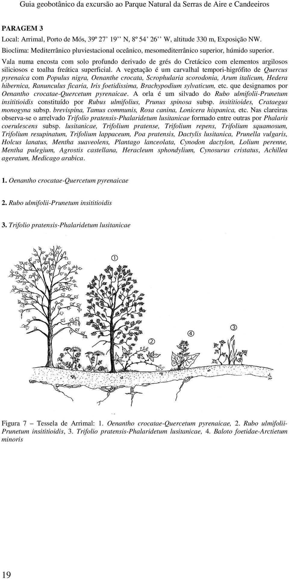 Vala numa encosta com solo profundo derivado de grés do Cretácico com elementos argilosos siliciosos e toalha freática superficial.