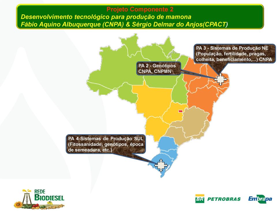 Sistemas de Produção NE (População, fertilidade, pragas, colheita, beneficiamento,.