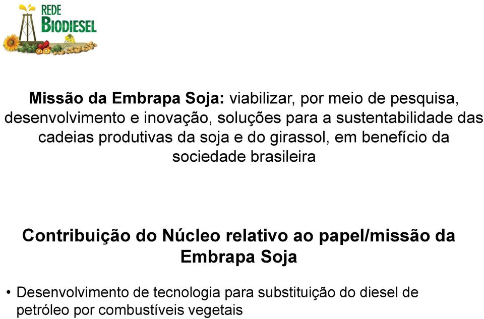 benefício da sociedade brasileira Contribuição do Núcleo relativo ao papel/missão da