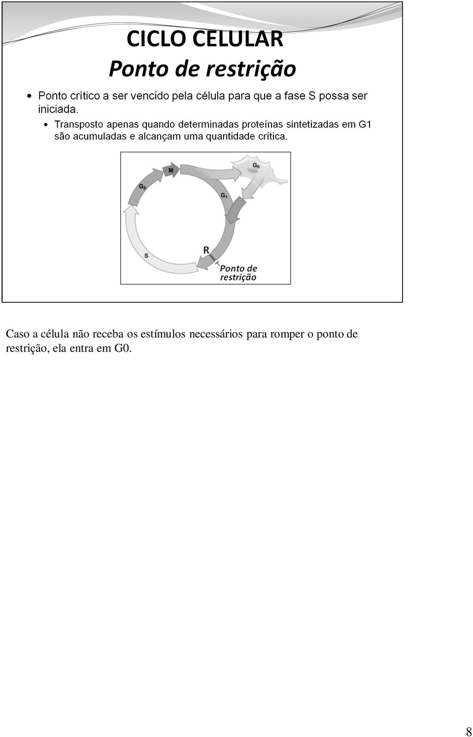 para romper o ponto de