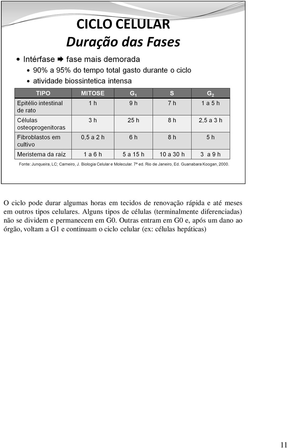 Alguns tipos de células (terminalmente diferenciadas) não se dividem e