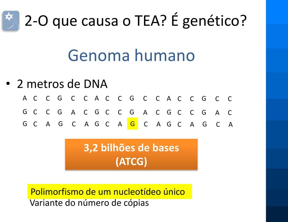 C G A C C G A C C G A C A A A A A A 3,2 bilhões de