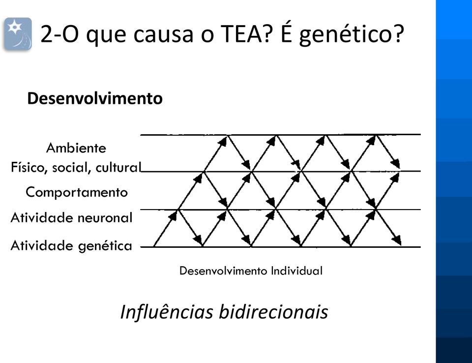 cultural Comportamento Atividade neuronal