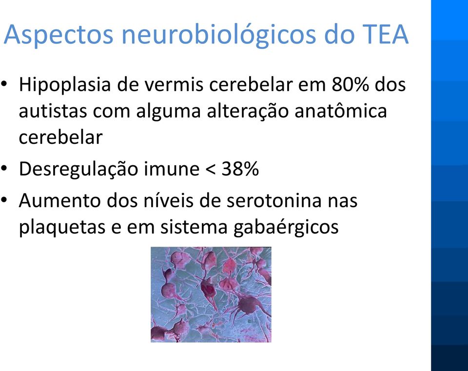 anatômica cerebelar Desregulação imune < 38% Aumento