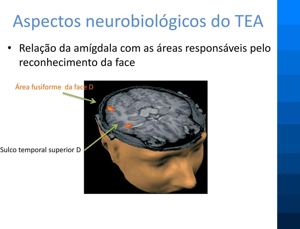 responsáveis pelo reconhecimento da