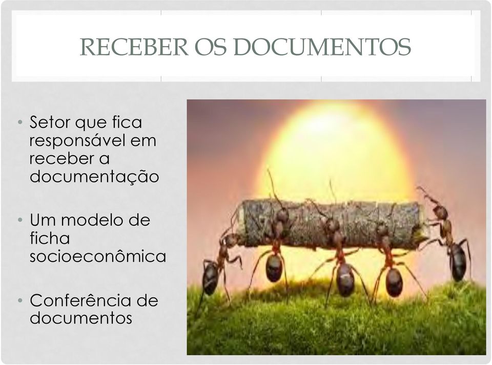 documentação Um modelo de ficha