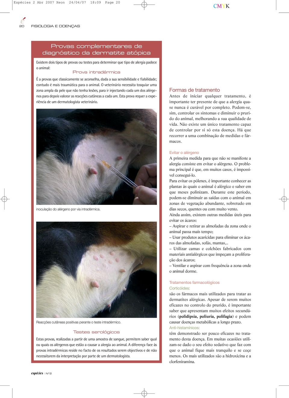 O veterinário necessita tosquiar uma zona ampla da pele que não tenha lesões, para ir injectando cada um dos alérgenos para depois valorar as reacções cutâneas a cada um.