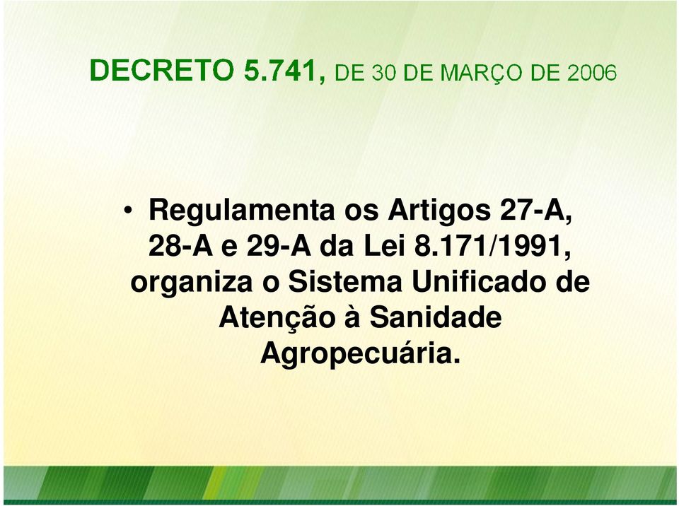 171/1991, organiza o Sistema