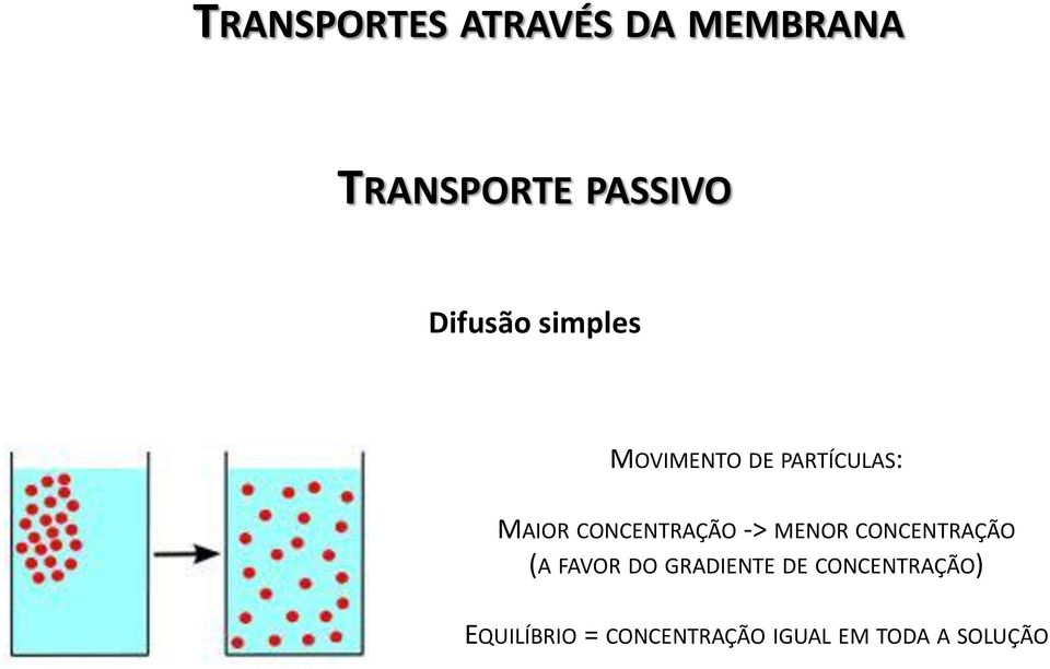 CONCENTRAÇÃO -> MENOR CONCENTRAÇÃO (A FAVOR DO