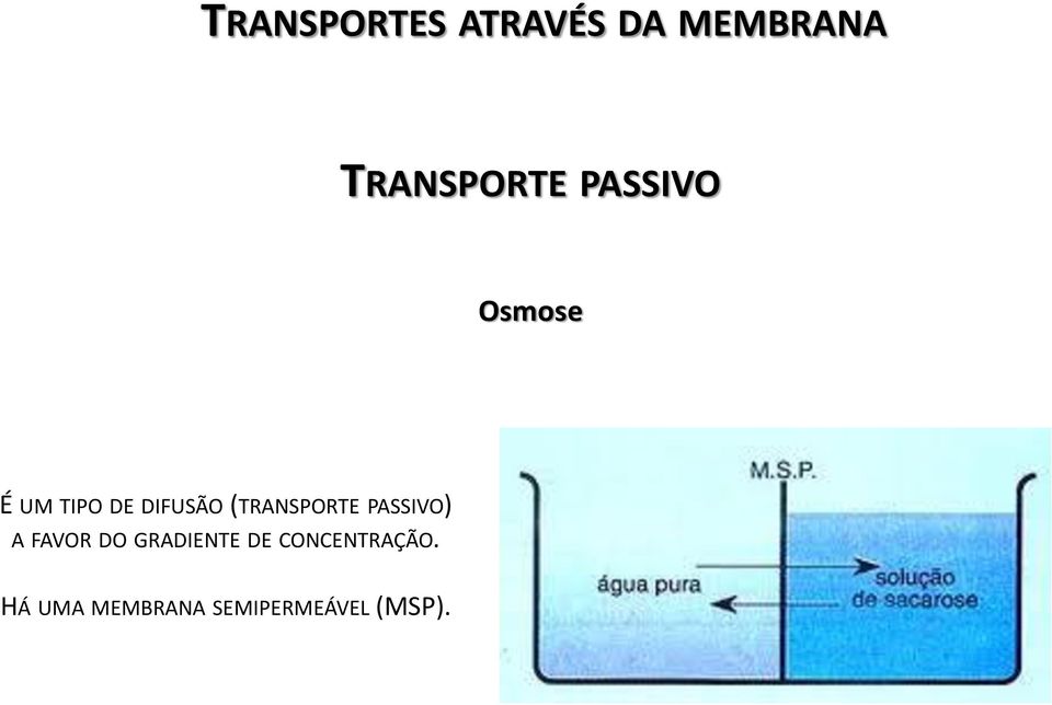 (TRANSPORTE PASSIVO) A FAVOR DO GRADIENTE