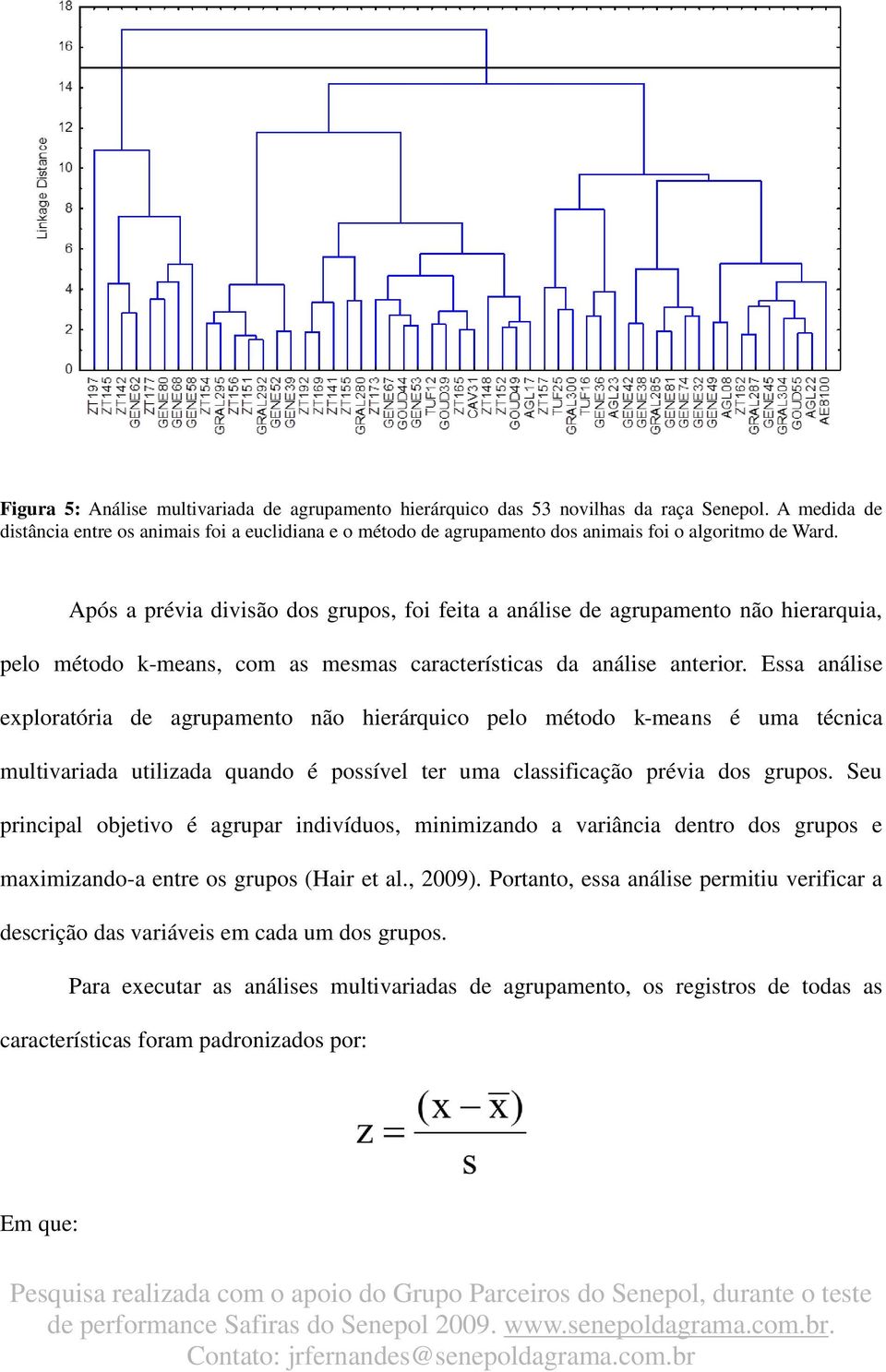 Após a prévia divisão dos grupos, foi feita a análise de agrupamento não hierarquia, pelo método k-means, com as mesmas características da análise anterior.